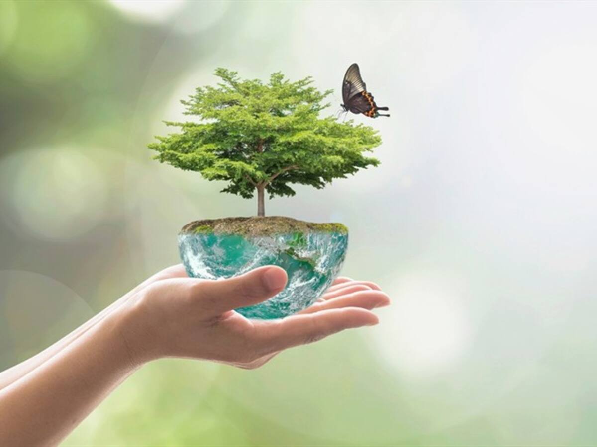 National Geographic celebra el Día Mundial del Medio Ambiente