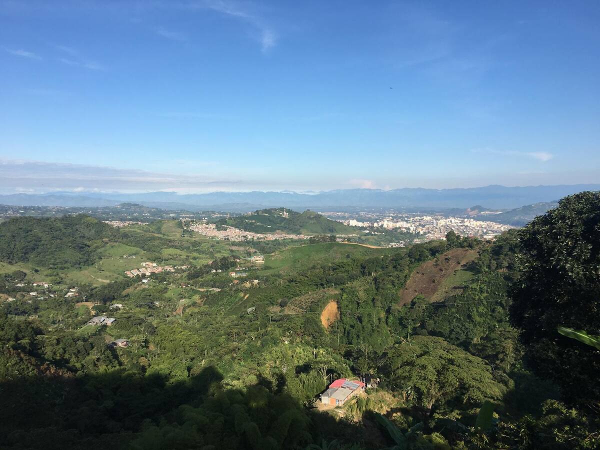 Curadores estarían entregando licencias irregulares en zona de protección en Risaralda