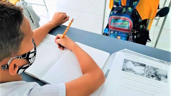 Las instituciones que no cumplan los protocolos, no podrán convocar a sus estudiantes de manera presencial . Foto: Colprensa