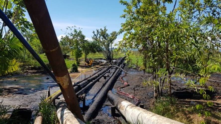 El cuatro de noviembre Mansarovar entregará los campos a Ecopetrol. Foto: Corporación San Silvestre Green.