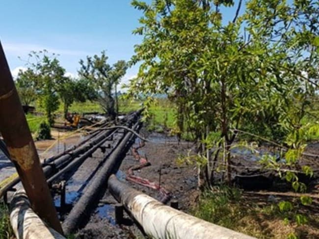 El cuatro de noviembre Mansarovar entregará los campos a Ecopetrol. Foto: Corporación San Silvestre Green.