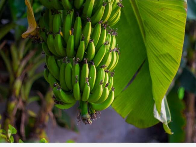 Foto: Imagen de referencia/ Getty Images