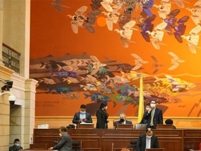 Sec. Salud recomienda a la Cámara sesionar virtualmente hasta controlar brote de COVID-19. Foto: Colprensa