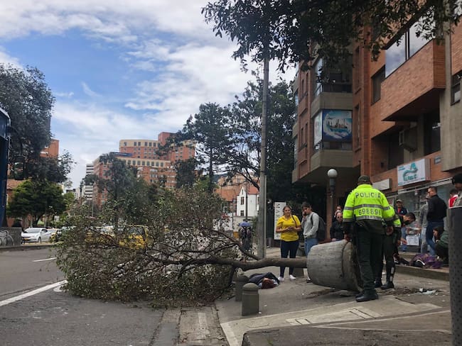 Dos mujeres resultaron golpeadas tras la caída de un árbol en la Carrera Séptima en Bogotá / FOTO: W Radio