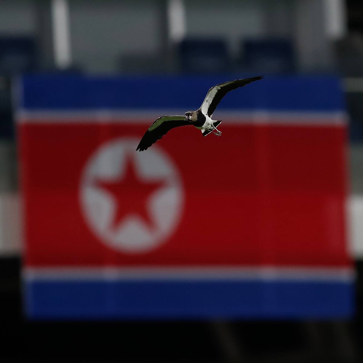 Corea del Norte vs. Costa Rica: reviva minuto a minuto del partido Mundial femenino Sub 20
