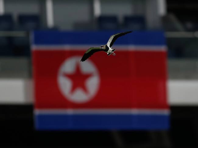 -FOTODELDÍA- AME5168. CALI (COLOMBIA), 02/09/2024.- Fotografía de un pájaro volando junto a la bandera de Corea del Norte este lunes, durante un partido del grupo F de la Copa Mundial Femenina sub-20 entre las selecciones de Costa Rica y Países Bajos en el estadio de Pascual Guerrero en Cali (Colombia). EFE/ Ernesto Guzmán Jr.