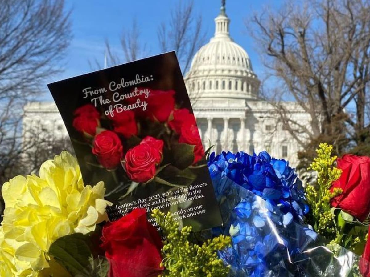 El Congreso de EE.UU. celebra San Valentín con flores de Colombia