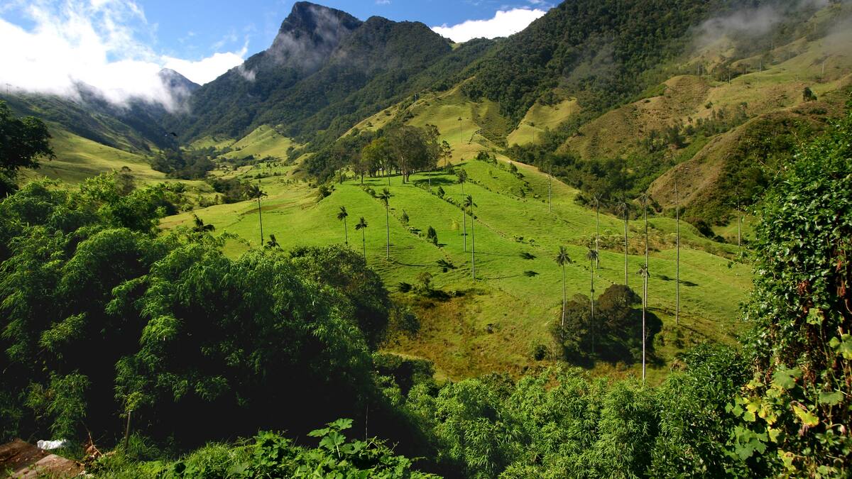 Traemos la magia de Colombia para el mundo: Procolombia desde Fitur en Madrid