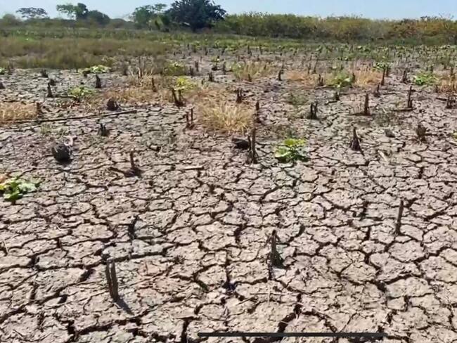 Campesinos del Magdalena aseguran estar quebrados luego de los estragos del invierno