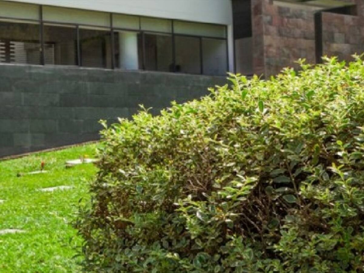 Hornos de cremación en Bucaramanga están al 90% de ocupación