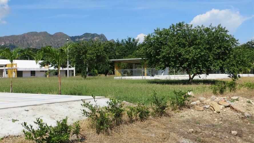 ¿Árboles que se pagaron y no se sembraron? Nuevos requerimientos de Contraloría al director Policía por casas fiscales. Foto: cortesía