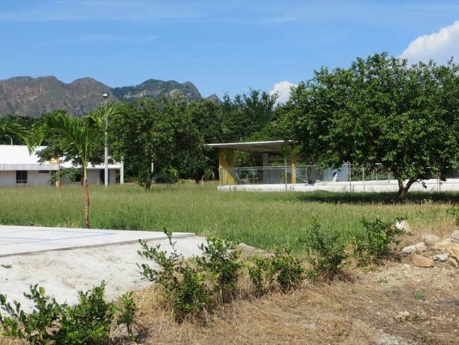 ¿Árboles que se pagaron y no se sembraron? Nuevos requerimientos de Contraloría al director Policía por casas fiscales. Foto: cortesía