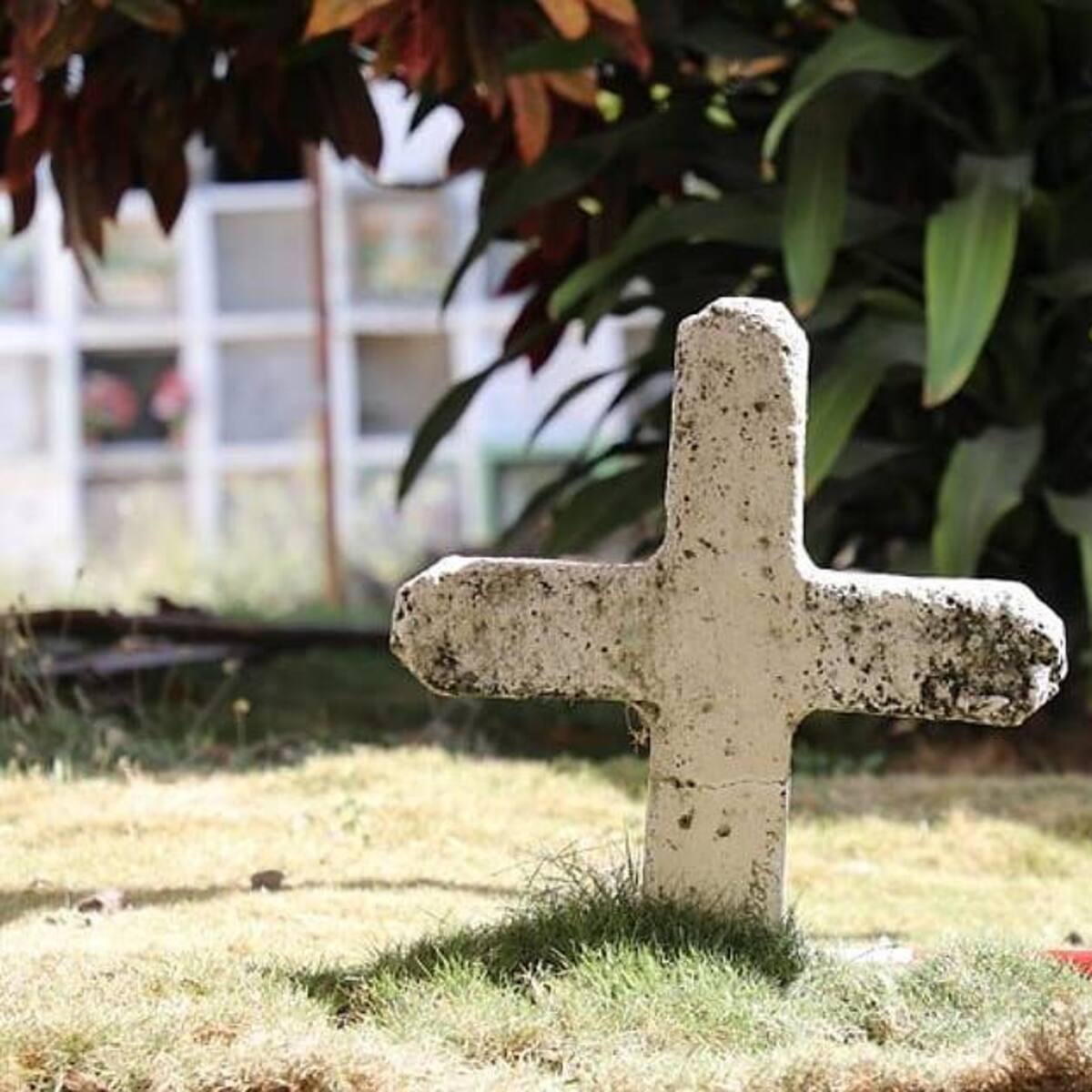 JEP extiende medidas cautelares sobre Cementerio Universal de Medellín