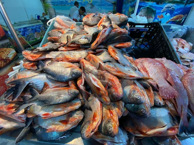 Feria del pescado en Cenabastos.