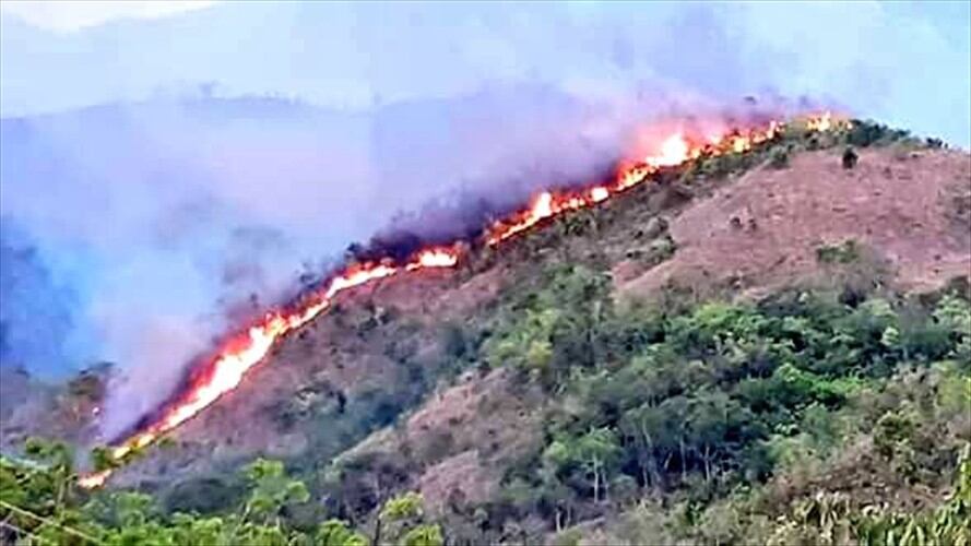 Grave incendio afecta la zona rural de Honda, Tolima. Foto: pedromanosalvar/Twitter