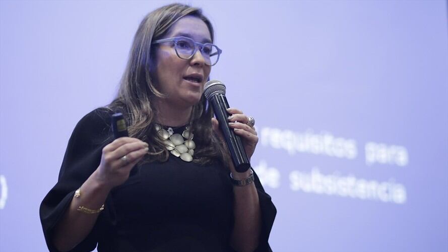 La Ministra de Minas y Energía, María Fernanda Suárez. Foto: Colprensa