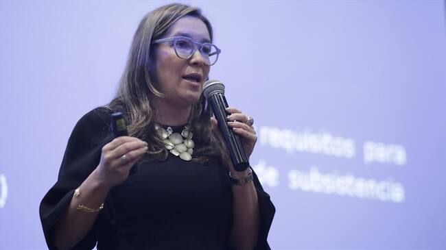 La Ministra de Minas y Energía, María Fernanda Suárez. Foto: Colprensa