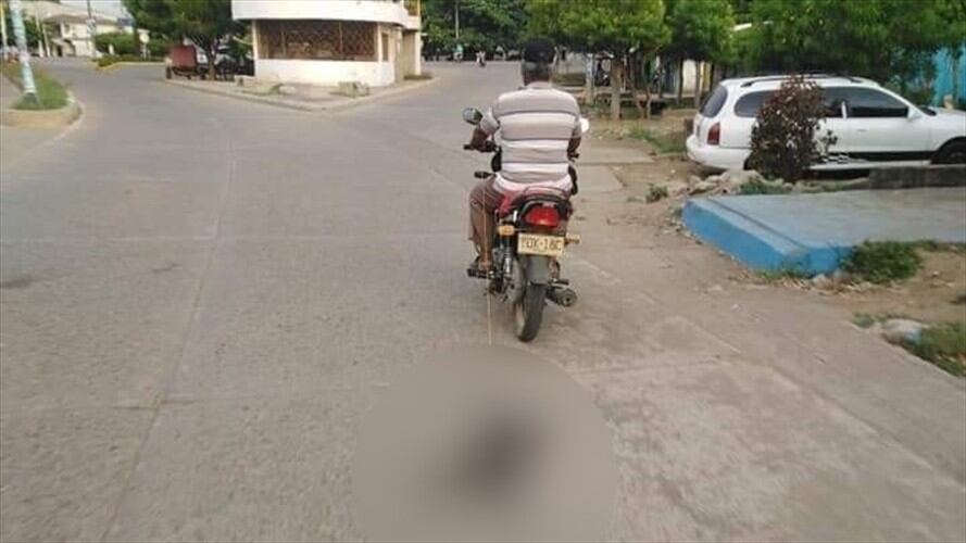 Investigan maltrato animal en el municipio de Cereté. Foto: Cortesía