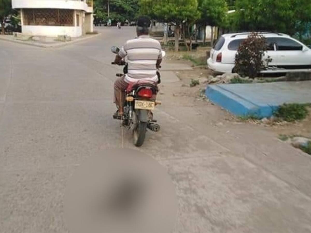 Investigan maltrato animal en el municipio de Cereté