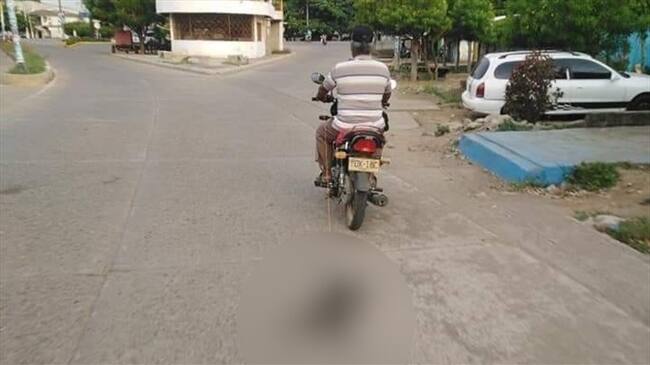 Investigan maltrato animal en el municipio de Cereté. Foto: Cortesía