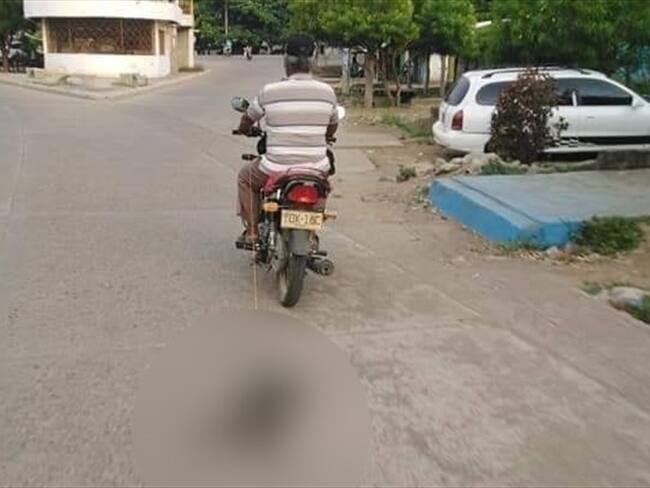 Investigan maltrato animal en el municipio de Cereté. Foto: Cortesía