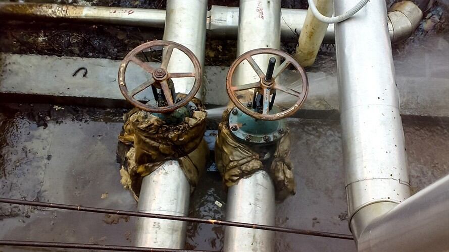 Imagen de referencia. Foto: Getty Images