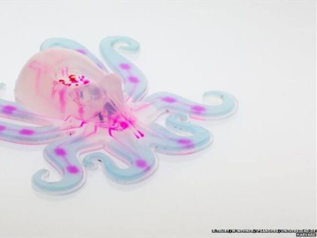 Octobot tiene forma de pulpo, se mueve de forma autónoma y es completamente flexible. . Foto: BBC Mundo