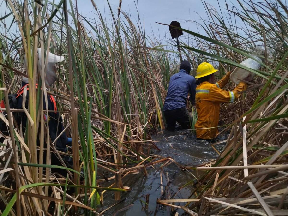 Controlado incendio en el Parque Isla Salamanca que duró más de 48 horas