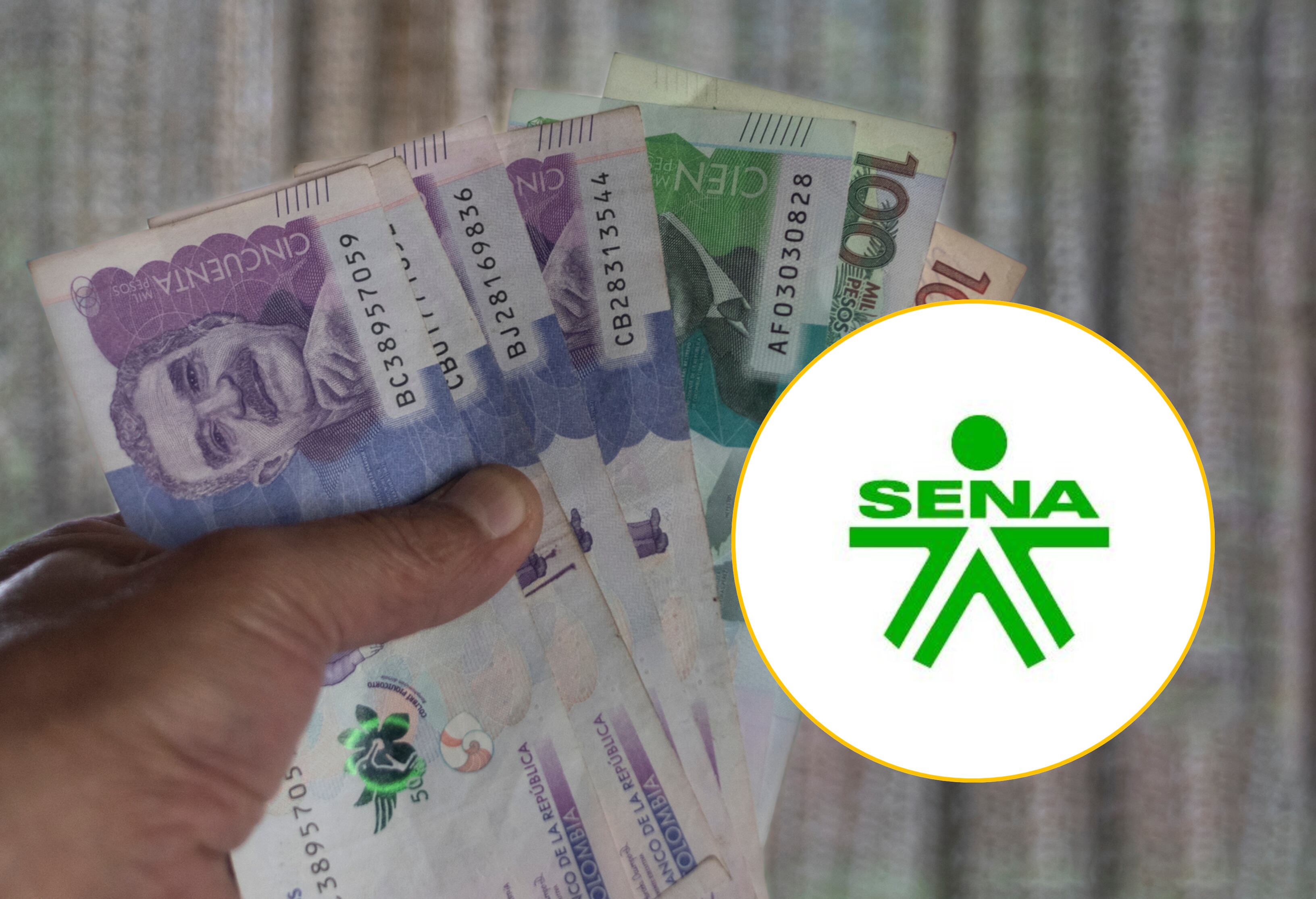 Imagen de referencia y logo del SENA. Foto: Getty Images / SENA