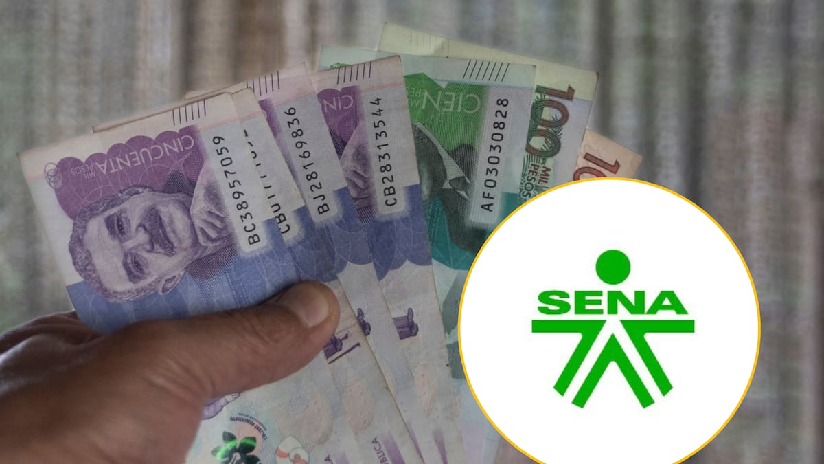 Lista de tecnólogos del SENA que pagan por estudiar en 2025: así puede aplicar