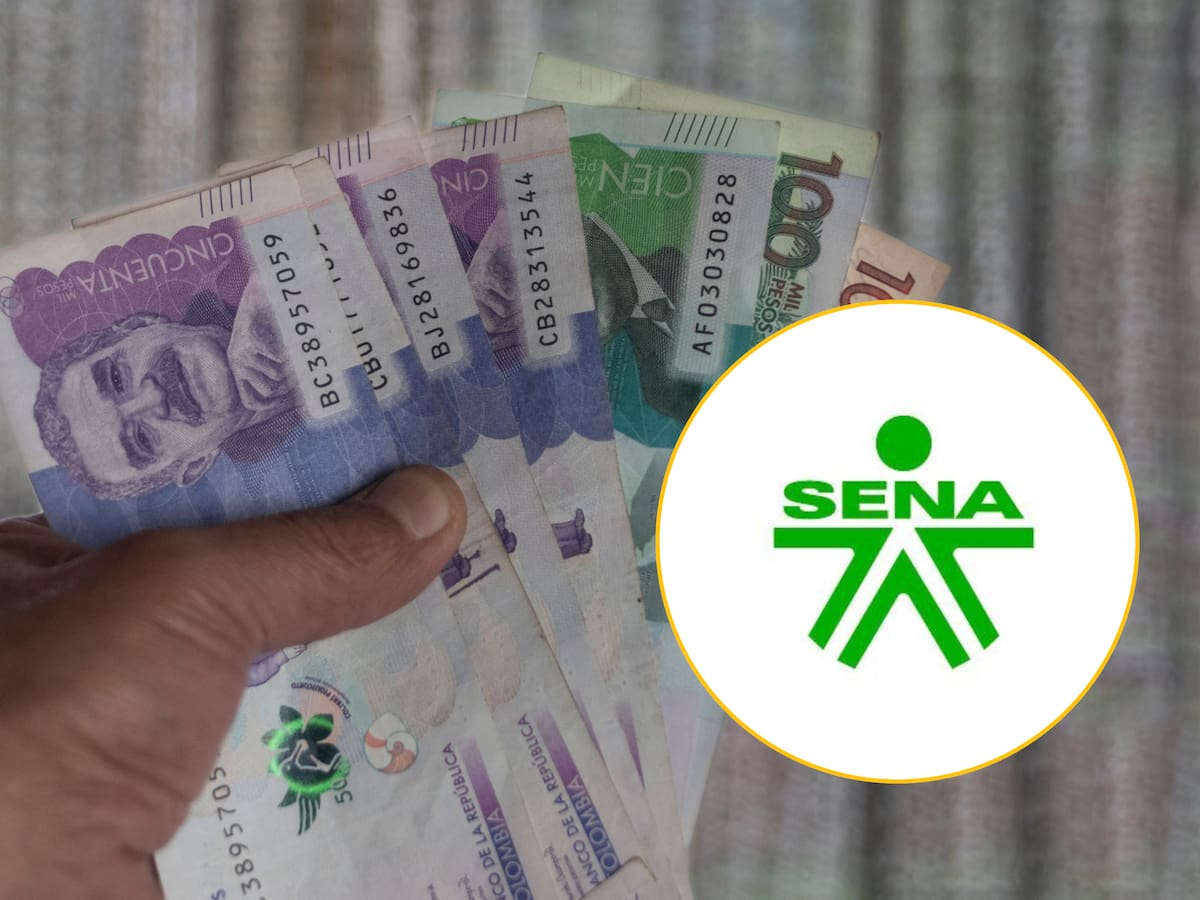 Lista de tecnólogos del SENA que pagan por estudiar en 2025: así puede aplicar