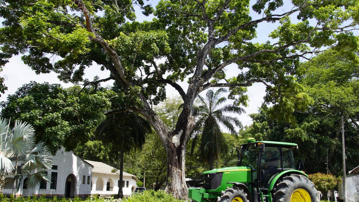 Universidad del Tolima ahora es Entidad Prestadora de Servicios de Extensión Agropecuaria