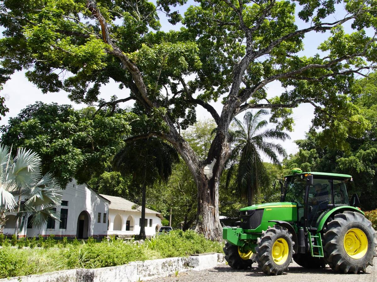 Universidad del Tolima ahora es Entidad Prestadora de Servicios de Extensión Agropecuaria