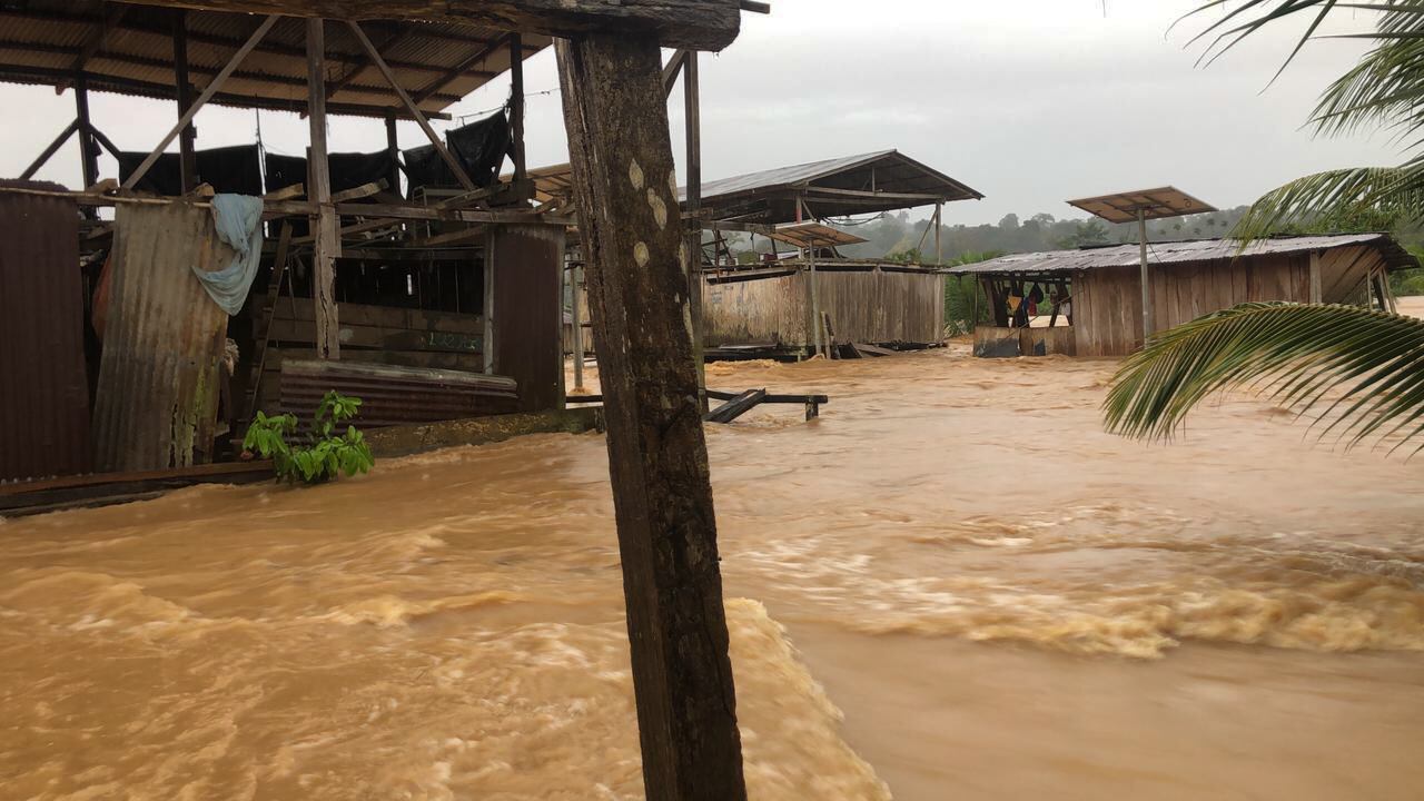 Chocó, Colombia. FOTO: Fedeorewa / Handout/Anadolu via Getty Images