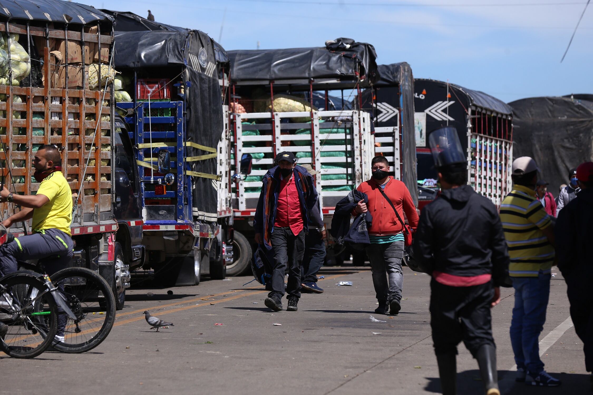 Camiones dentro de Corabastos. Foto: Colprensa/Camila Díaz