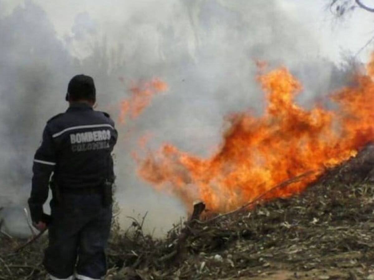 Incendio afecta más de 40 hectáreas de vegetación en Firavitoba
