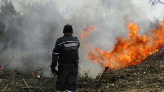 Bomberos de varios municipios atienden la emergencia. Foto: Suministrada.