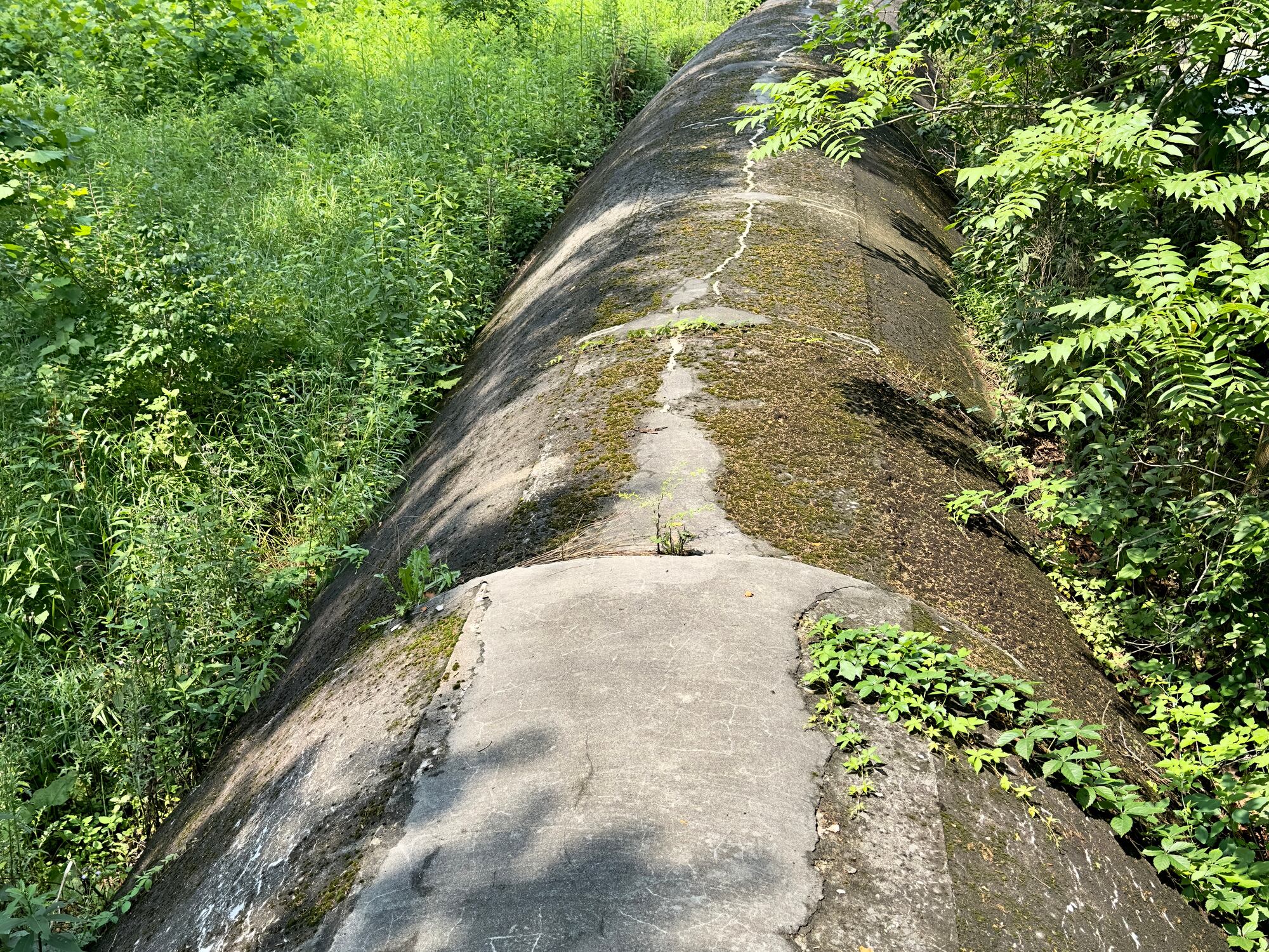 Imagen de referencia de oleoducto. Foto: Getty Images