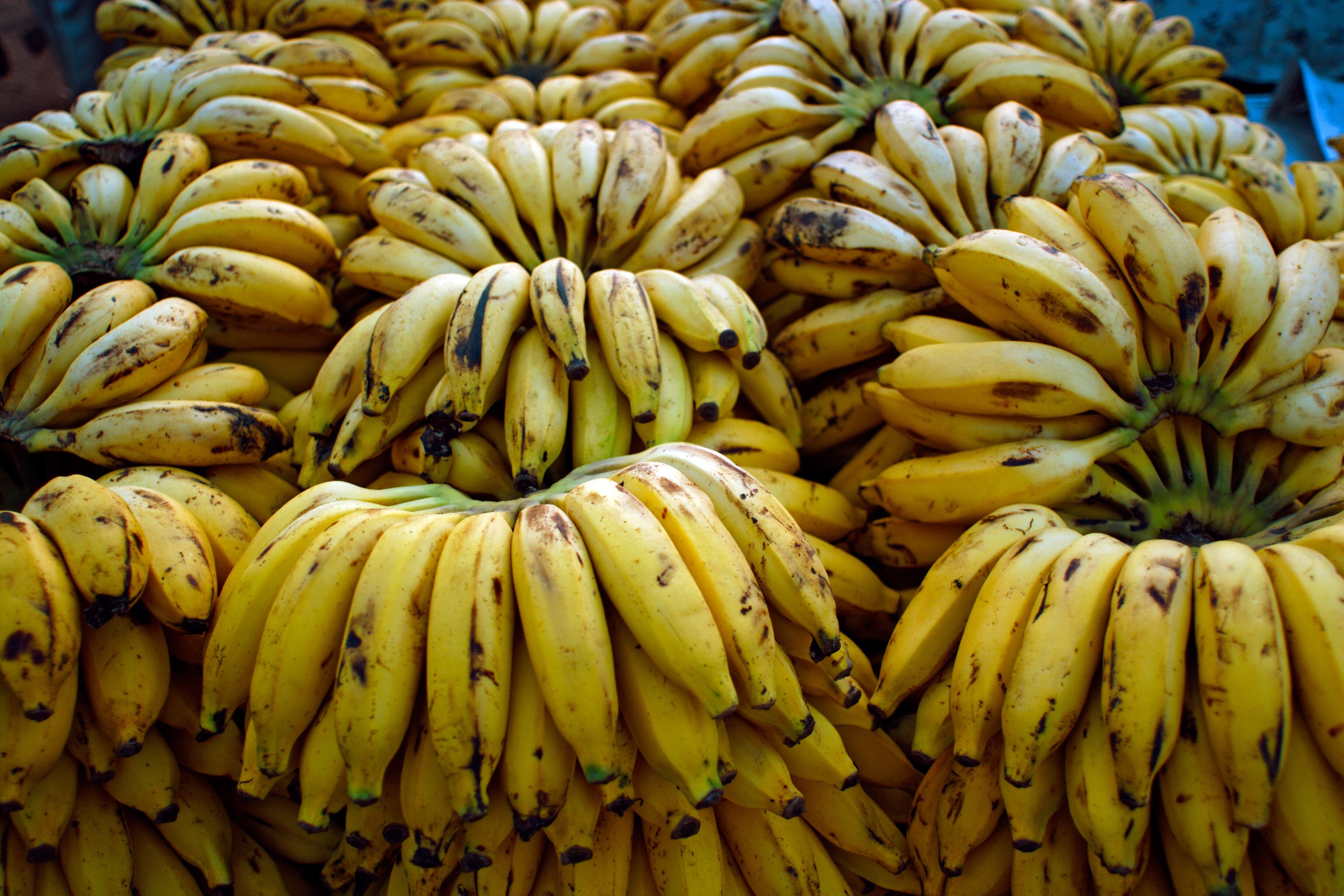 Millonarias pérdidas para los bananeros por los bloqueos del paro de transportadores