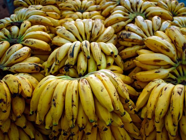 Millonarias pérdidas para los bananeros por los bloqueos del paro de transportadores