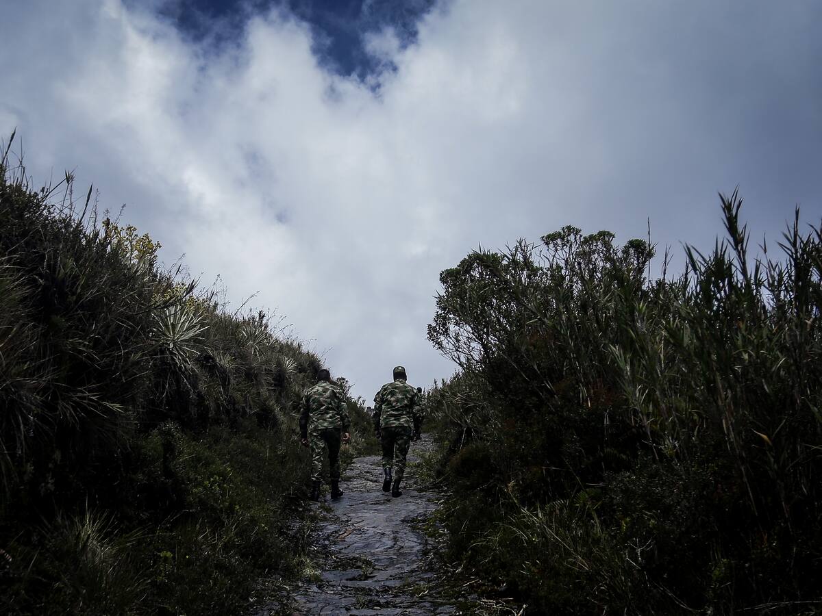 Un incendio causa estragos en el Parque de Chingaza mientras las autoridades intentan extinguirlo