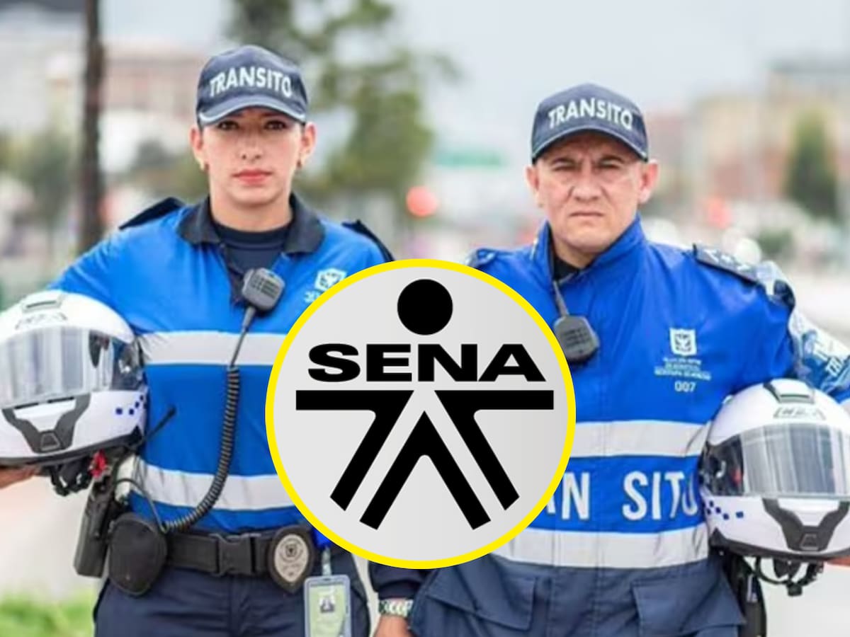 Técnico en agente de tránsito y transporte: conozca este programa del SENA
