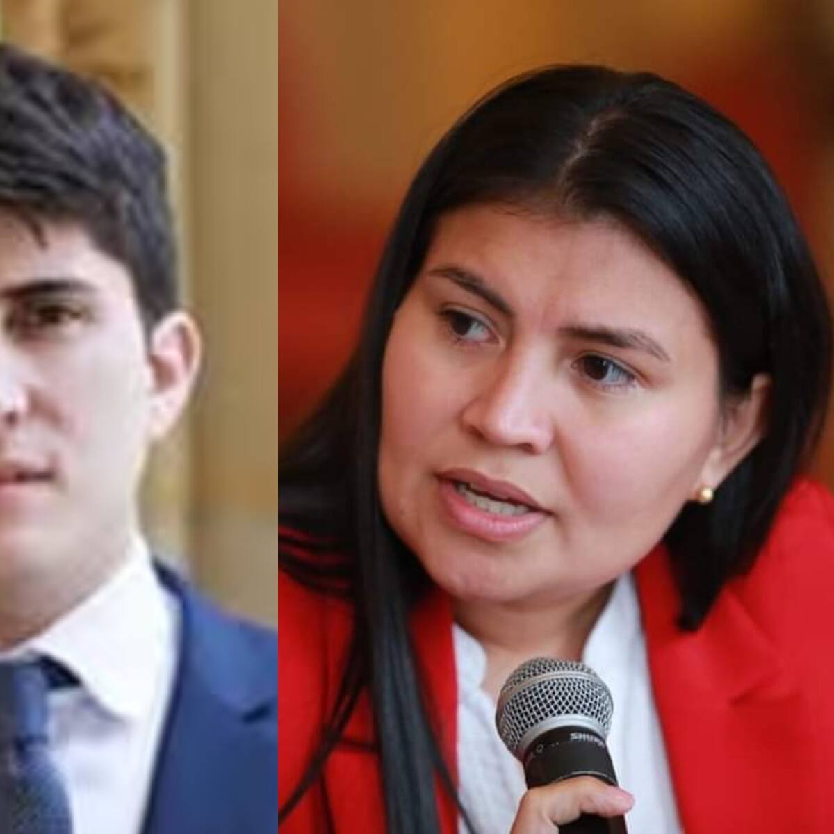Manzur y Manrique renunciaron a la Comisión Interparlamentaria de Crédito Público