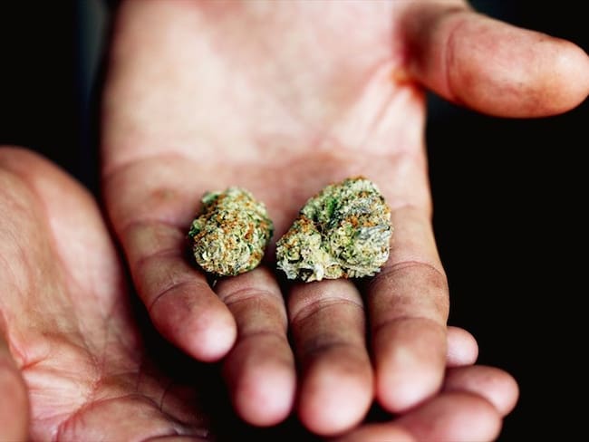 Opiniones divididas por decisión que tumba el decomiso de la dosis mínima