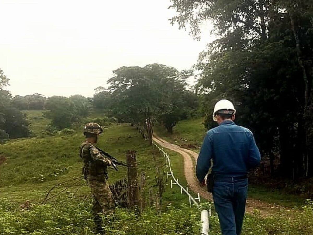 Destruyen válvula ilícita de las disidencias de las Farc en Tibú