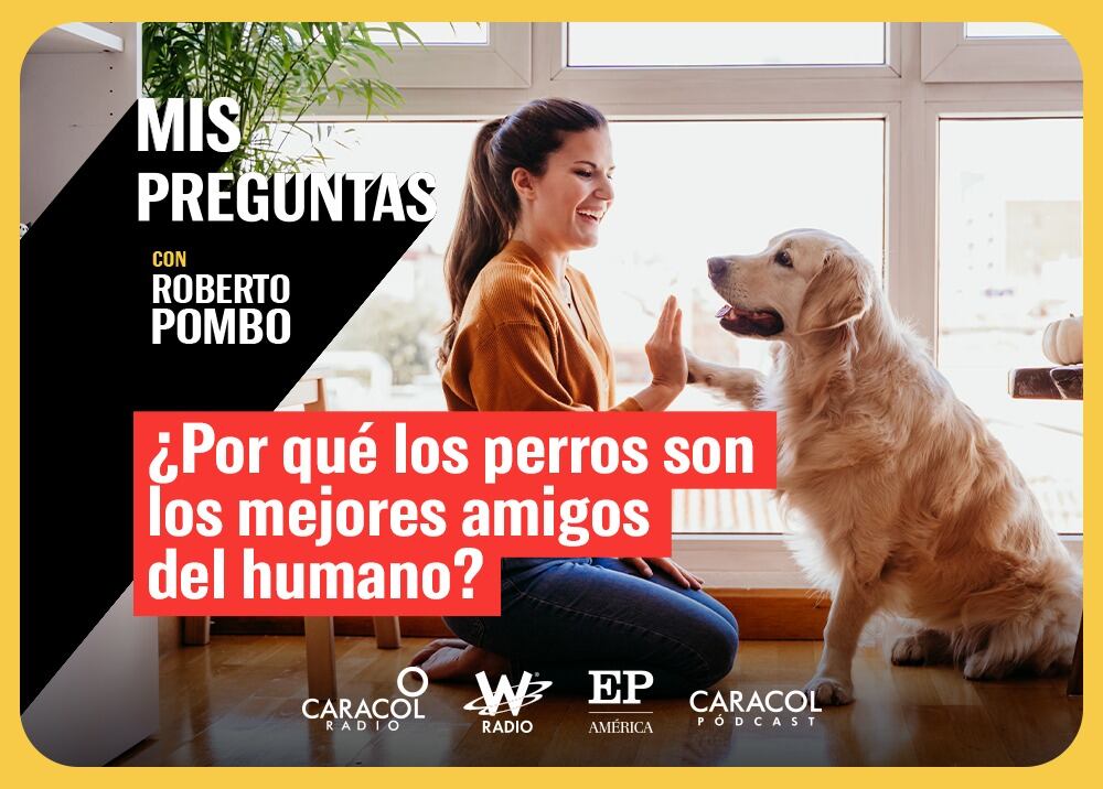 Mis Preguntas, con Roberto Pombo: ¿Por qué los perros son los mejores amigos del humano?