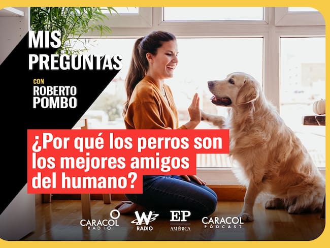 Mis Preguntas, con Roberto Pombo: ¿Por qué los perros son los mejores amigos del humano?