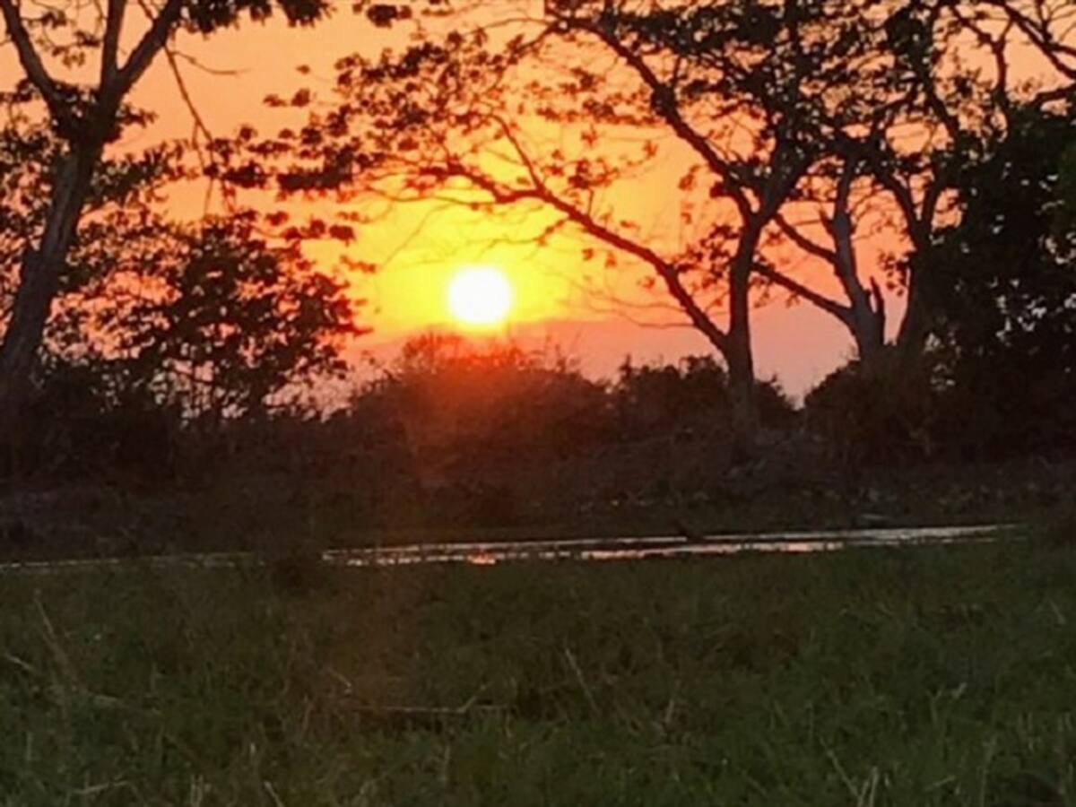 Tribunal Administrativo de Córdoba ordenó recuperación de la Ciénaga de Matinica