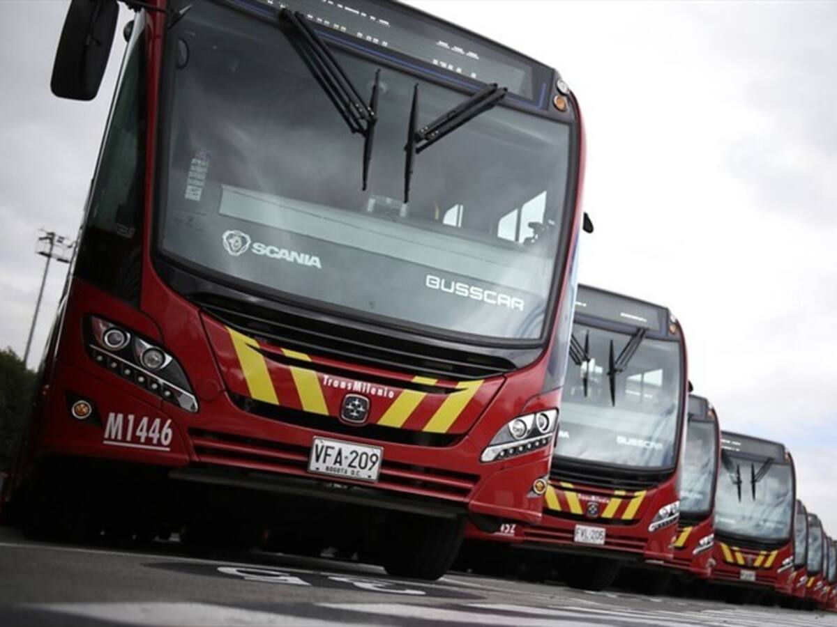 Alcaldía de Bogotá talará 28 árboles de avenida Suba para ampliar estación de Transmilenio