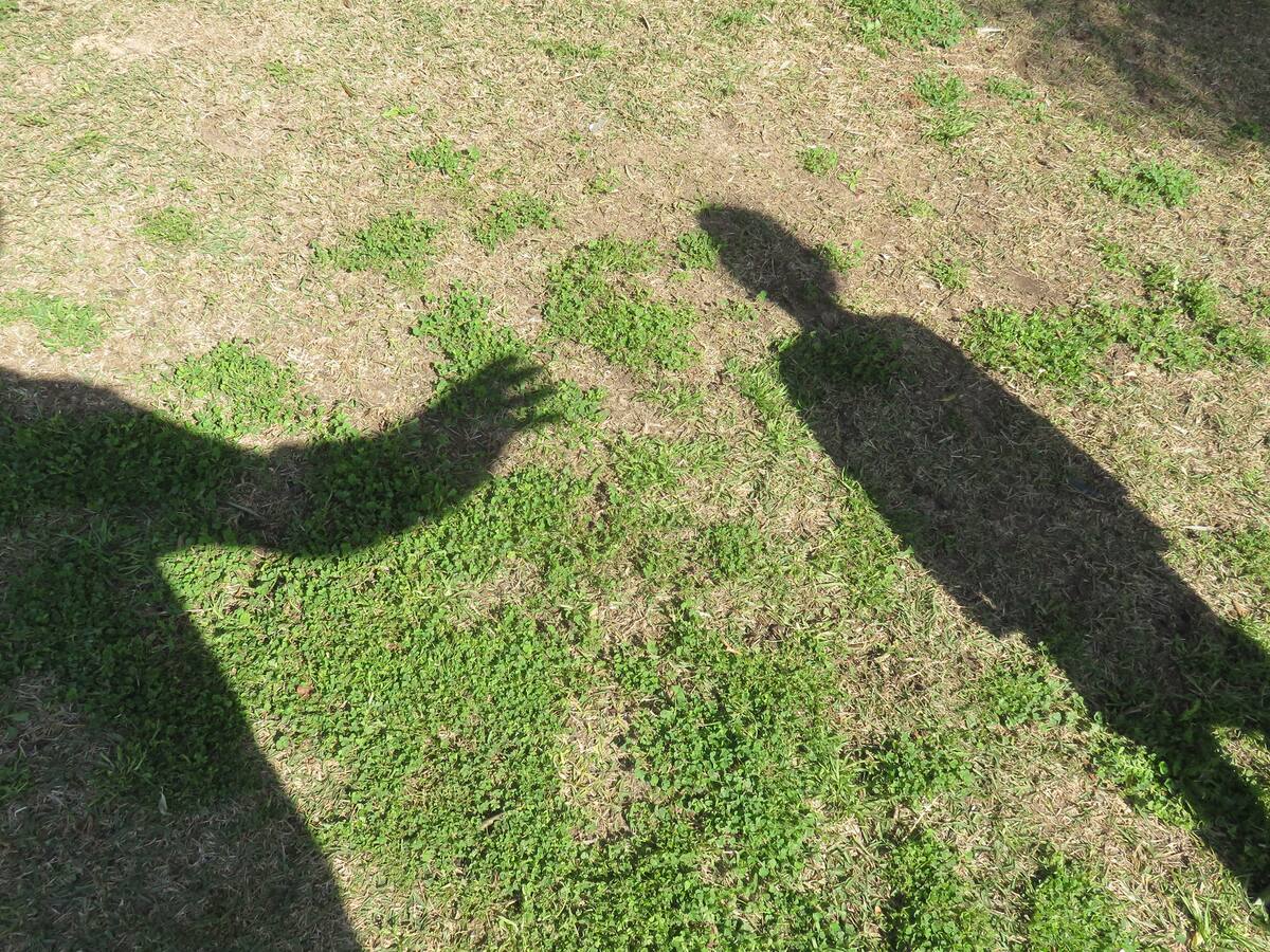 “Les creemos a los niños y pedimos que denuncien”: secretaria de Educación de Bogotá sobre casos de abuso sexual en colegios